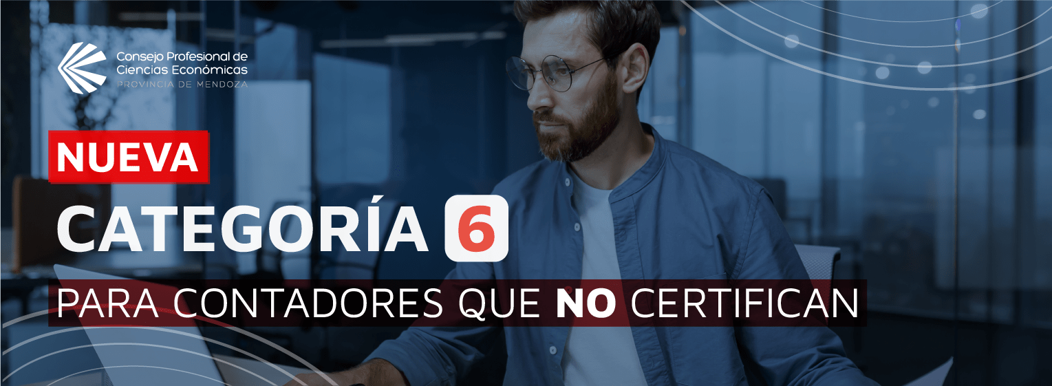 Categoría 6